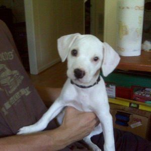 Meet your Posher, Jason